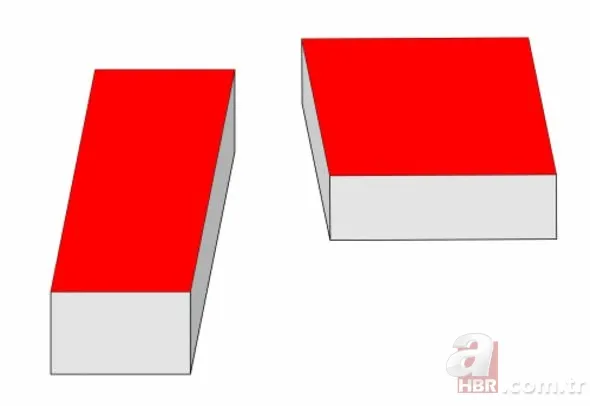 Gözlerinizin sizi yanıltmasına hazır mısınız? 24