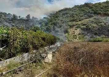 Antalya Kemer'deki orman yangını kontrol altına alındı!