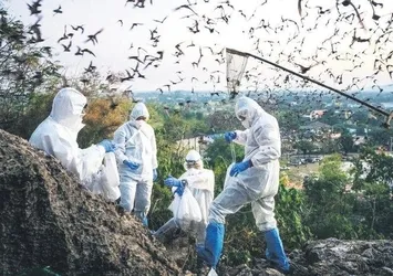 Dünya büyük risk altında! Buzulların erimesi 28 yeni virüsü açığa çıkardı