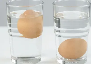 Yumurtanın sarısına bakınca şıp diye anlaşılıyor! Eğer tazeyse...