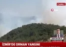 İzmirde orman yangını!