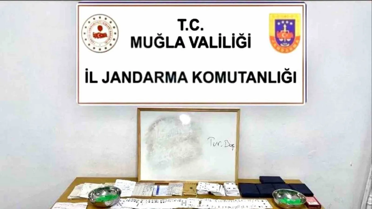 Jandarmadan Bodrum'da kumar operasyonu
