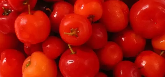 C vitamini deposu! Portakalı geride bırakan mucizevi meyve