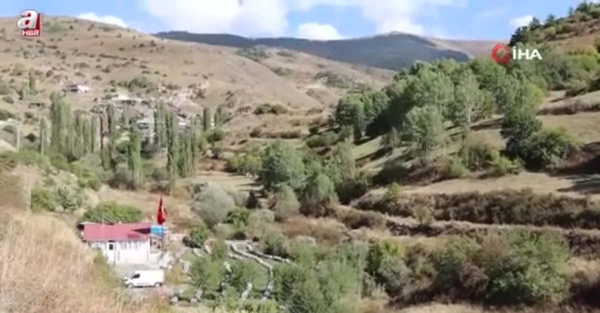 Bal üreticisinden örnek davranış