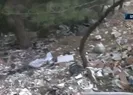 Sanayi atıkları ormanı çöplüğe çevirdi!