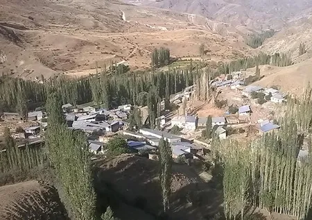 Hayvanlarını beslemek için ahıra giden kadın dehşeti yaşadı 🐄 Kurt birden saldırıp çenesini ısırdı 🐺