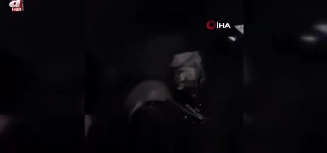 Hakkari Yüksekova’da su samuru görüntülendi