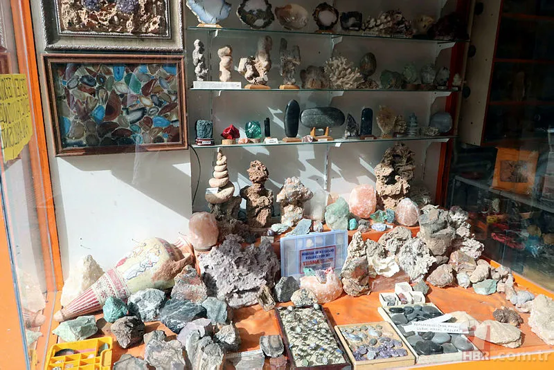 Eskişehir'de dinozorlardan önce yok olmuş canlı fosili buldu! Tam 550 milyon yıl öncesine ait... 9