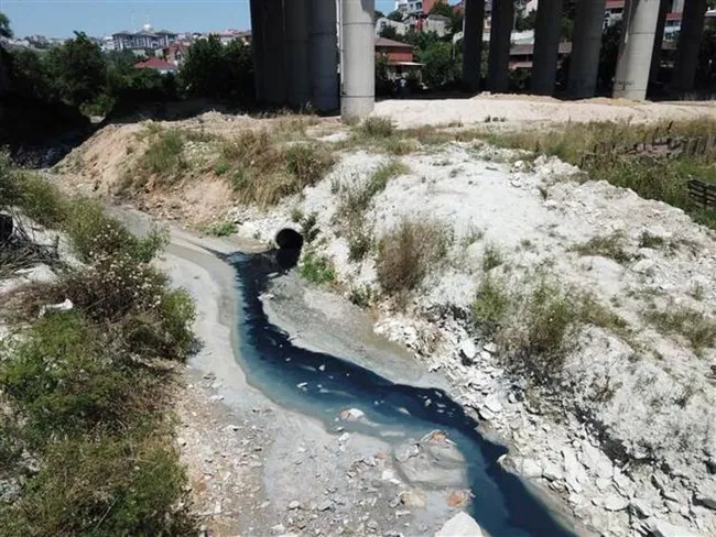 İstanbul'da göle akan derenin rengi kimyasal atık nedeniyle değişti! Hayvanlar birer birer ölmeye başladı - 2