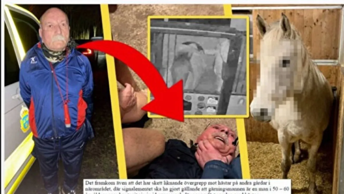 İsveç bu skandalı konuşuyor! Terör örgütü PKK'nın sözde Avrupa sorumlusu Senanik Öner ata tecavüz etti | 30 yıl hapsi isteniyor