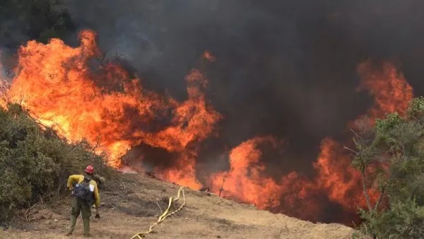 Son dakika: İçişleri Bakanlığından 81 ilin valiliklerine orman yangını uyarısı: Tedbirler tek tek sıralandı - 1