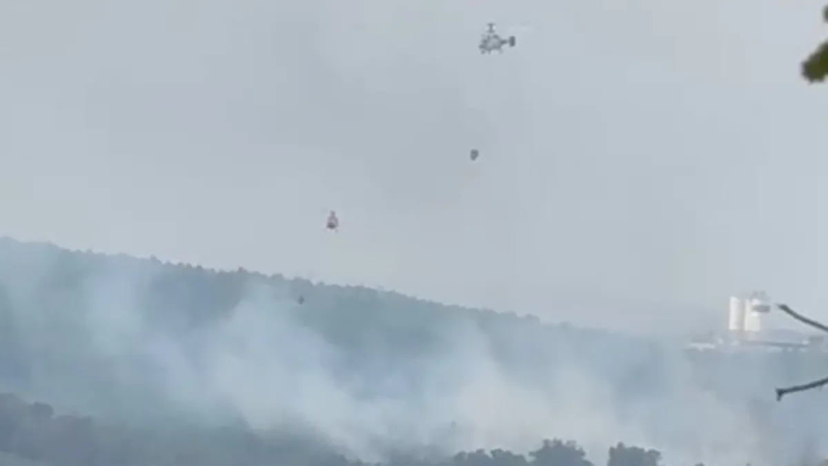 İstanbul'da ormanlık alandaki yangına havadan müdahale