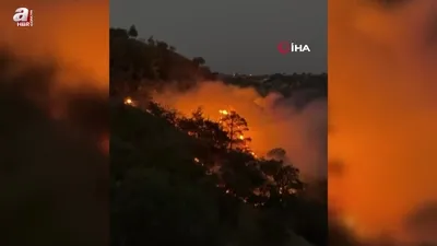 Buldan’da sarp arazide orman yangını çıktı