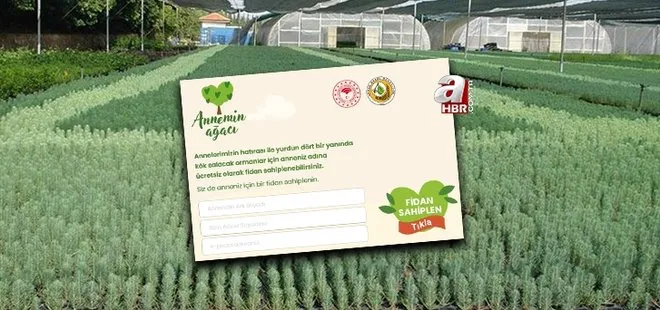 Annemin Ağacı OGM ücretsiz mi? OGM’den fidan bağışı Anneler Günü hediyesi! Annemin Ağacı sertifikası nasıl alınır?