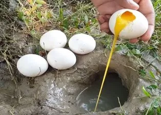 Yumurta ile balık avladı! Böyle yöntem görülmedi...