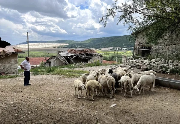 eskisehirde-akilalmaz-olay-sattigi-koc-5-gun-sonra-geri-dondu-1655797647015.jpg Eskişehir’de akılalmaz olay! Sattığı koç 5 gün sonra geri döndü - 2