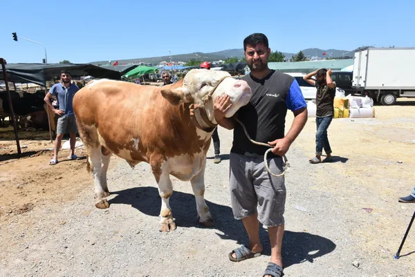Pazarın gözdesi Toros Kaplanı 67 bin liraya alıcı buldu - 4