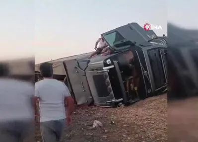 Büyükbaş hayvan yüklü tır devrildi