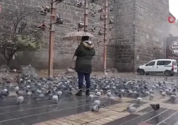 Kayseri'de kar yağışı etkili oldu