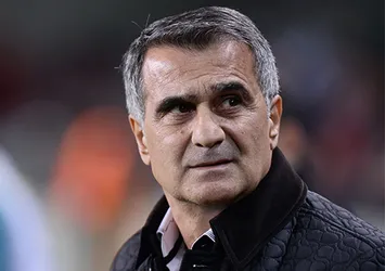Şenol Güneş'ten 'Arda' yorumu