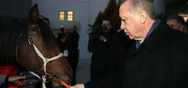 Cumhurbaşkanı Erdoğan’a tay hediye edildi