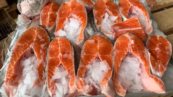 Trabzon ve Rize’den 12 ülkeye 35,5 milyon dolarlık Türk somonu ihraç edildi