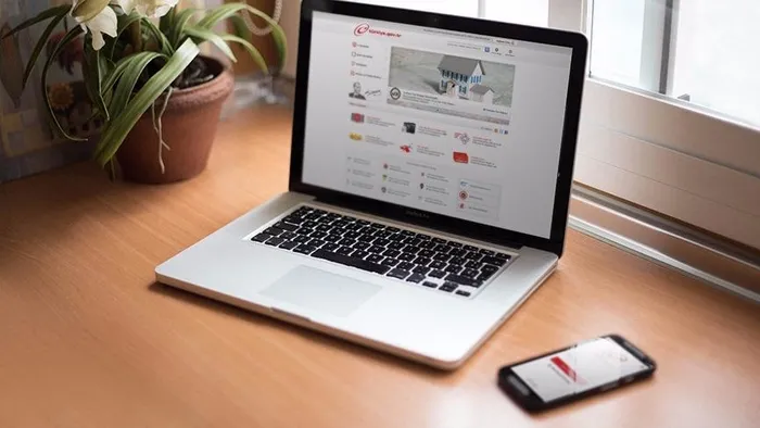 e-Devlet'ten "veri sızıntısı" iddialarına son dakika yanıtı - 1