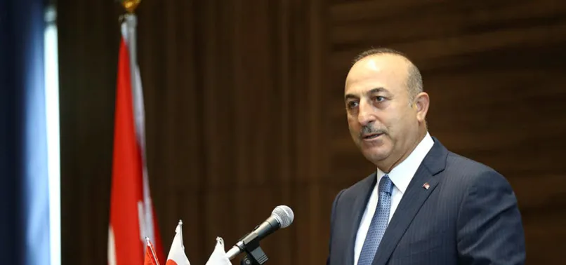 Çavuşoğlu'ndan sert açıklama: Sizi ilgilendirmez!