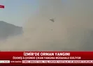 İzmir’de ormanlık alanda korkutan yangın