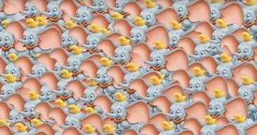 Zeka testi: Fillerin içindeki yavru kedi nerede? 1645 kişi denedi 18’i başardı