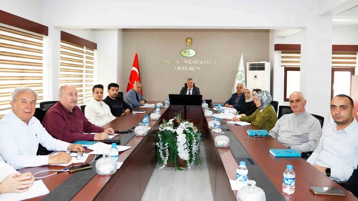 Aksu ve Olur enerji projeleri masaya yatırıldı