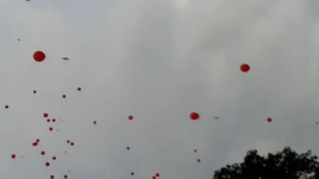 Almanya’da PKK yandaşları 15 Temmuz etkinliğini hedef aldı