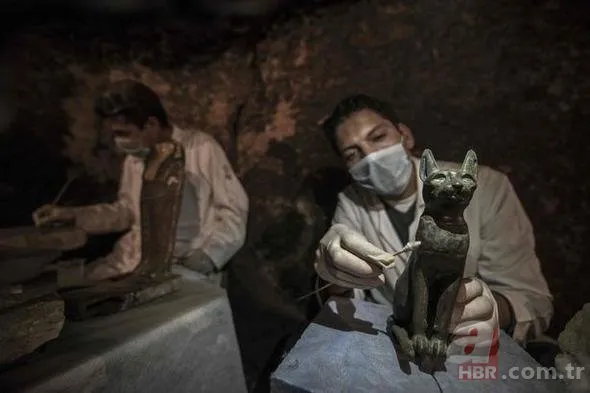 Mısır’da kedi ve böcek mumyası bulundu