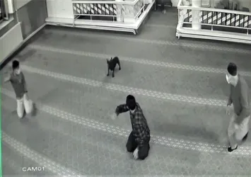 Camide hareketli anlar! Aniden içeri daldı