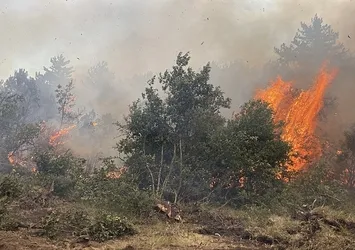 Eskişehir'de yangın faciası! 10 kahramanımız şehit