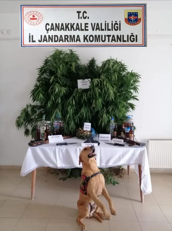 jandarma-ekipleri-bayram-boyunca-uyusturucu-tacirlerine-nefes-aldirmadi-1627307716382.jpg Jandarma ekipleri bayram boyunca uyuşturucu tacirlerine nefes aldırmadı - 1