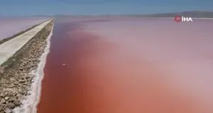 Tuz Gölü pembe renge büründü