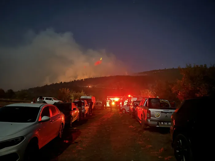 Çankırı'da orman yangını