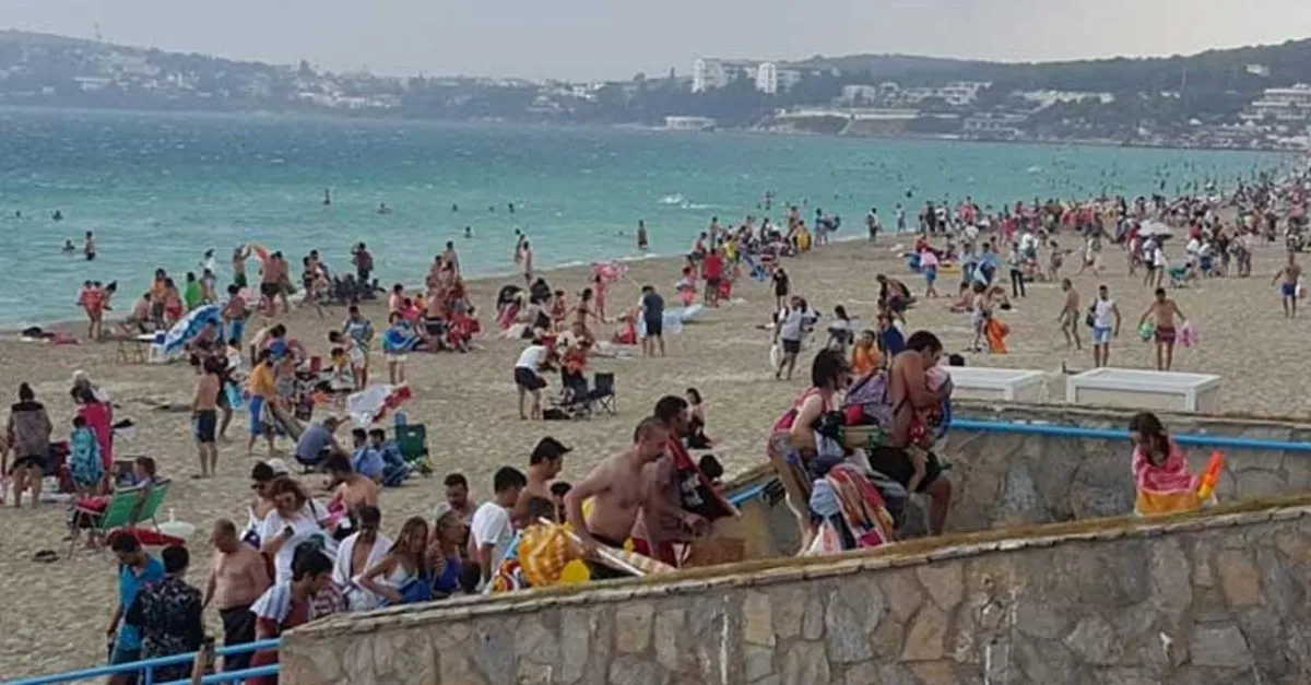 Çeşme plajında panik anları! Bir anda ortaya çıktı…