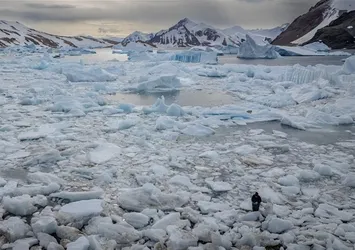 Çinli araştırmacılardan bilim dünyasına katkı: Antarktika'da 6 yeni bakteri keşfedildi