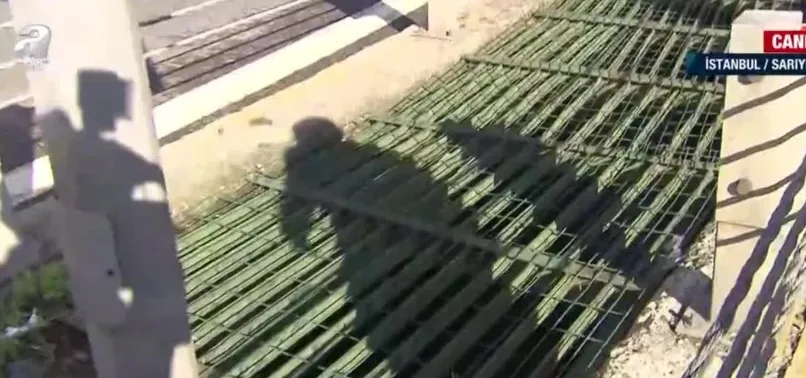 Sarıyer’deki İstinye Deresi kötü koku yayıyor! Kirlilikten mahalleli şikayetçi