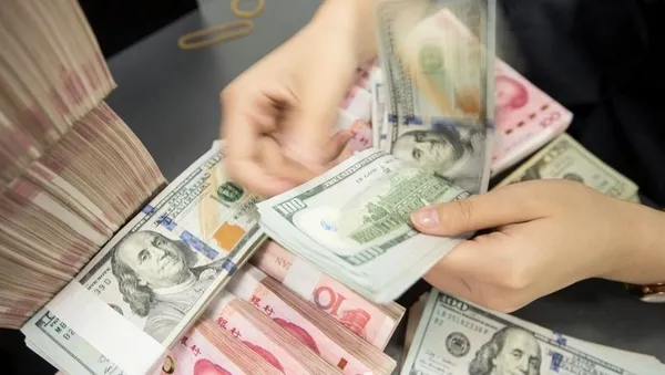 Merkez Bankası'ndan dolar, euro ve enflasyon rakamları açıklaması - 6