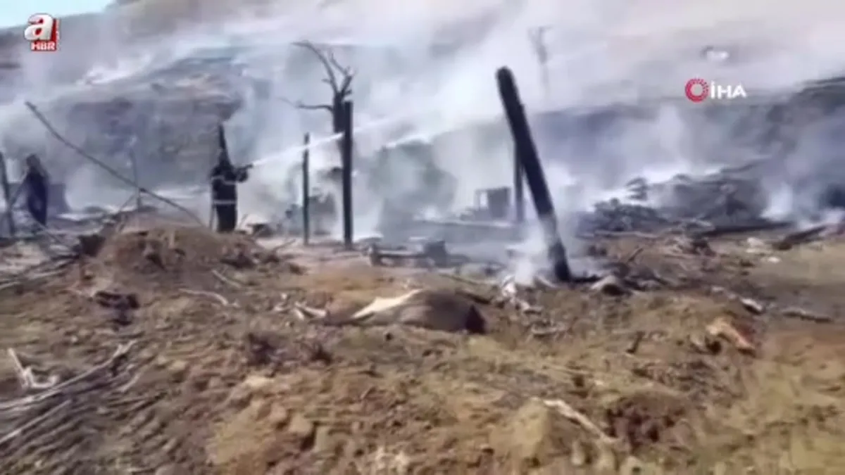 Adıyaman’da yangında 13 küçükbaş hayvan telef oldu