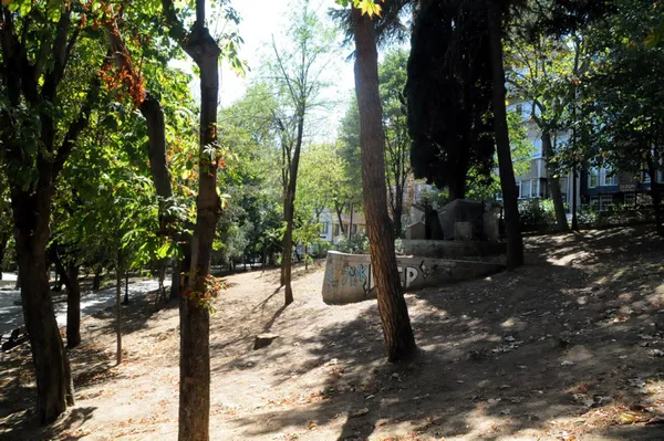 Abbasağa Parkı’nı kaderine terk ettiler! CHP’li Beşiktaş Belediyesinden skandal savunma