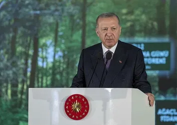 AK Parti harekete geçti! Enerjik yasa TBMM'ye geliyor! Dikkat çeken TOGG detayı