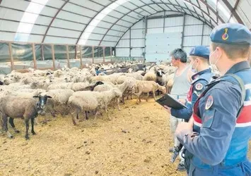 Koyun hırsızından İYİ Partili Belediye Başkanı Ünal Çetin'e rüşvet! Çetin'in marifetleri 'pes' dedirtti | Koyun hırsızına imar kıyağı