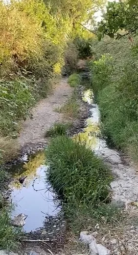 CHP’li Tunç Soyer yönetimindeki İzmir Büyükşehir Belediyesi’nden bir skandal daha! Turgut Köyü’nde şok görüntü...