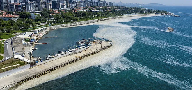 İstanbul'da müsilaj korkusu! Tabaka oluştu
