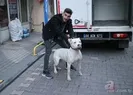 Pitbull köpekli saldırıda yeni gelişme: Tutuklandı