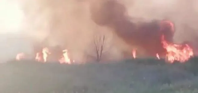 Ankara’daki Nallıhan Kuş Cenneti sazlığındaki yangının nedeni belli oldu